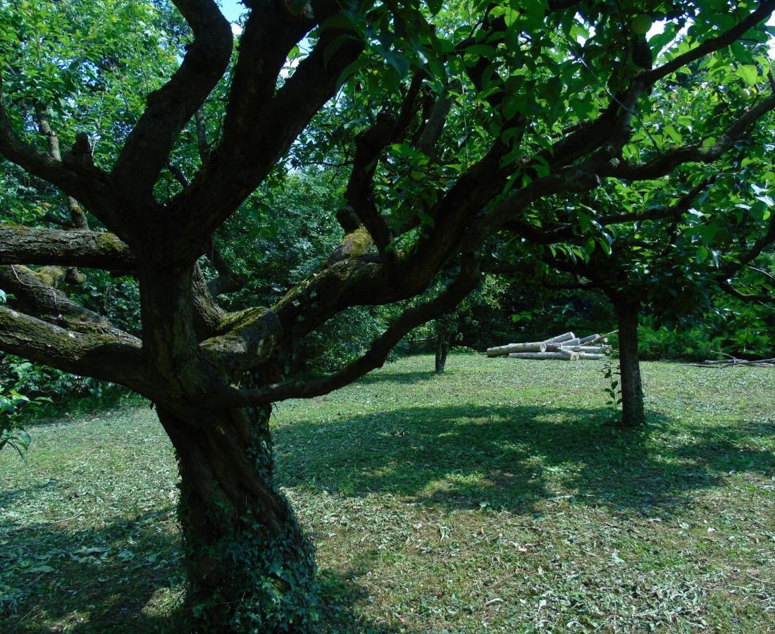 Cascina Cavalli Astino Villa Бергамо Екстериор снимка